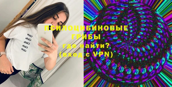 индика Лихославль