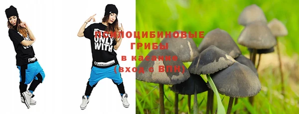 ПСИЛОЦИБИНОВЫЕ ГРИБЫ Липки