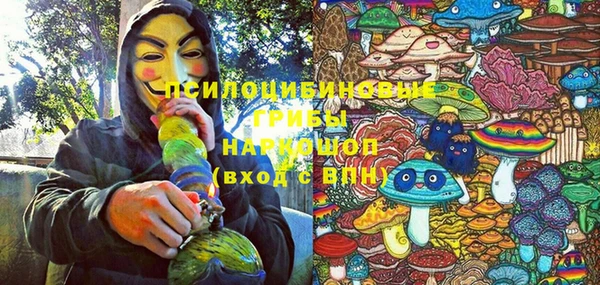 ПСИЛОЦИБИНОВЫЕ ГРИБЫ Липки