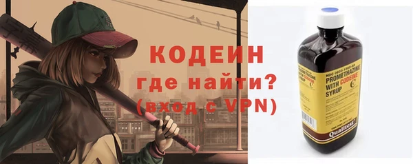 индика Лихославль