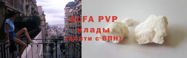 индика Лихославль