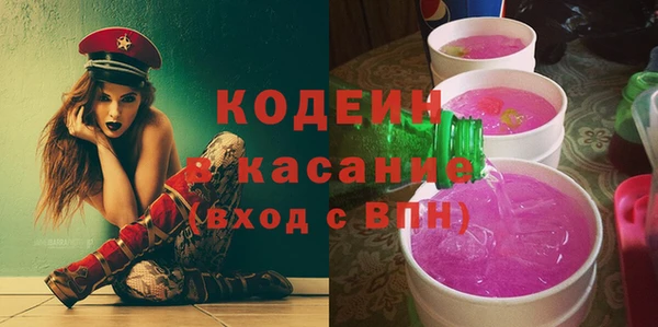 индика Лихославль